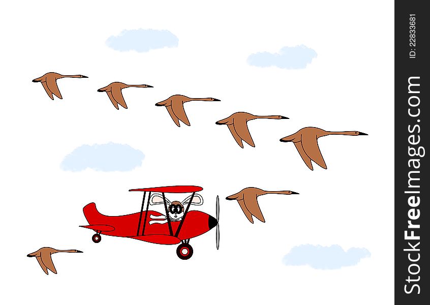 An illustration of a rabbit in a biplane flying in formation with geese. An illustration of a rabbit in a biplane flying in formation with geese