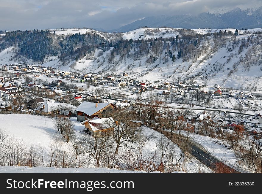 Snowy Landscape