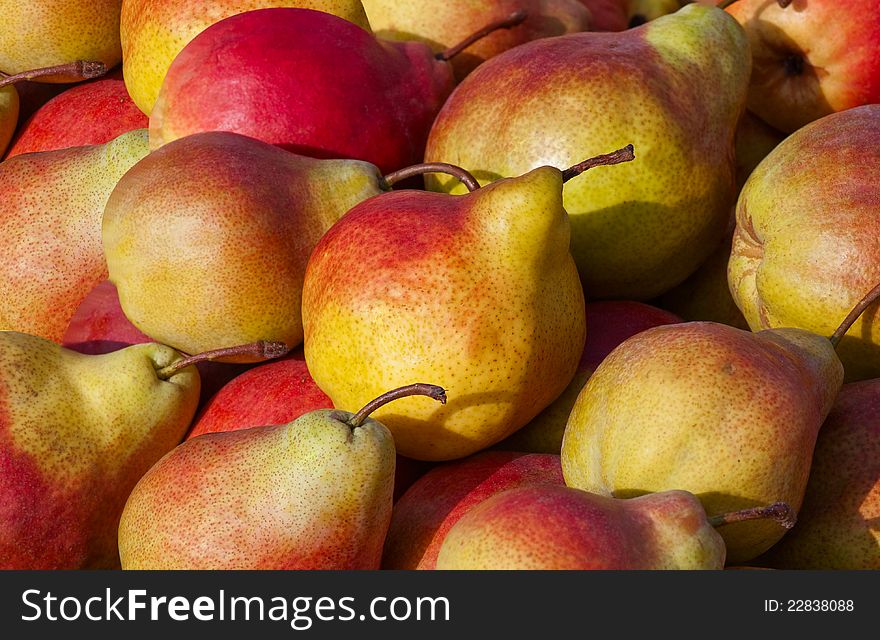 Picture of yellow-red fruits. Picture of yellow-red fruits