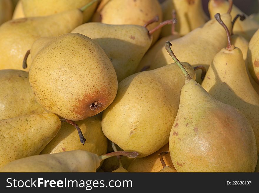 Yellow Pears Lined Up On The Counter For Sale