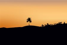 Dark Silhouette Of Sand And Trees At Sunset Stock Image Dark Silhouette Of Sand And Trees At Sunset Stock Image