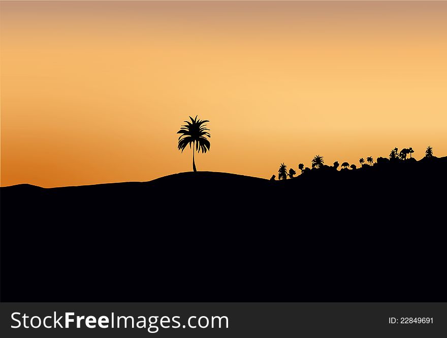 Dark silhouette of sand and trees at sunset