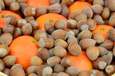 Hazelnuts With Mandarins Stock Images Hazelnuts With Mandarins Stock Images