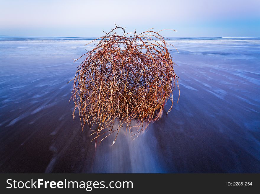 Long Exposure To Sea