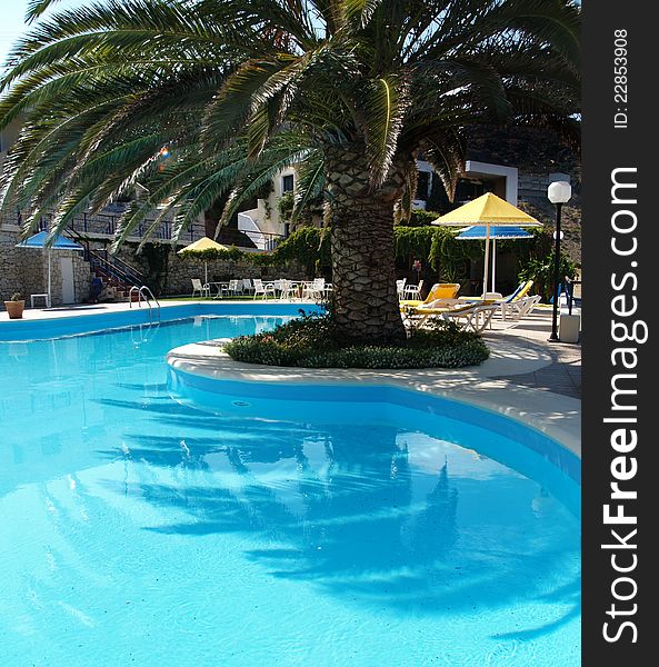 Swimming Pool With Palmtree