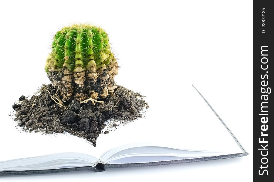 Cactus And Notebook.