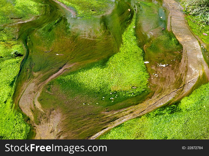 Streams flowing through the grass