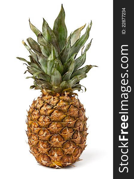 Single full pineapple against white background. Single full pineapple against white background