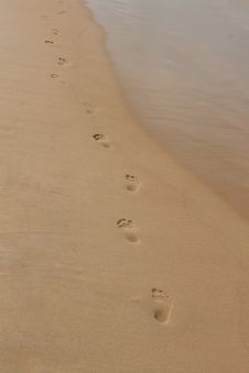 Footprints In The Sand On The Beach Stock Image Footprints In The Sand On The Beach Stock Image