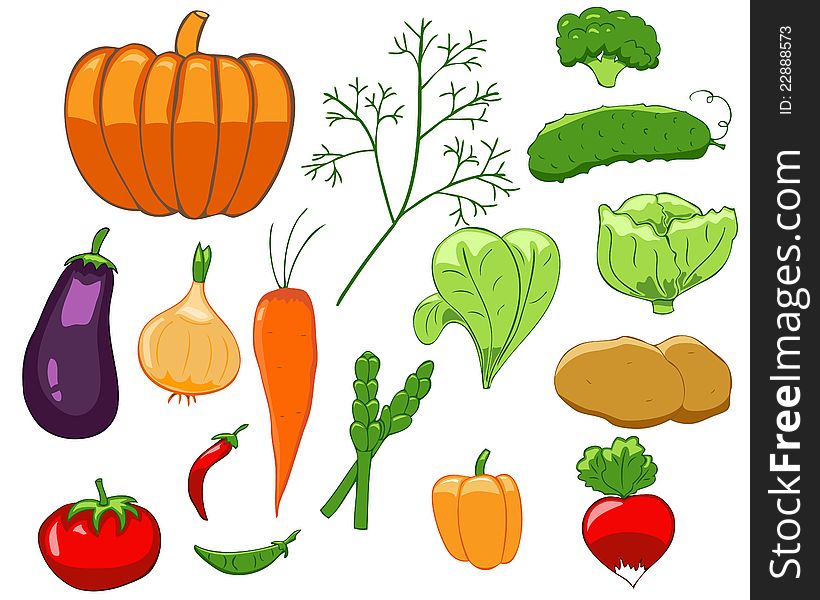 Set of isolated colorful vegetables in simple style. Set of isolated colorful vegetables in simple style