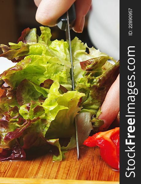 Woman cutting lettuce leaves with knife. Woman cutting lettuce leaves with knife