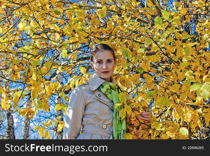Portrait of a girl on a background of yellow leaves of the tree. Portrait of a girl on a background of yellow leaves of the tree.