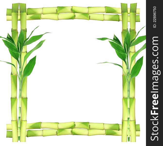 Fresh bamboo frame on white background