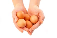 Eggs In Hands Royalty Free Stock Photos