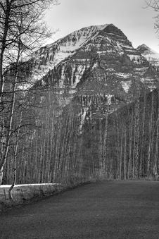 Black And White Mt Road 4 Royalty Free Stock Photography Black And White Mt Road 4 Royalty Free Stock Photography