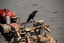 Crow And Ploughing Machine Royalty Free Stock Photo Crow And Ploughing Machine Royalty Free Stock Photo