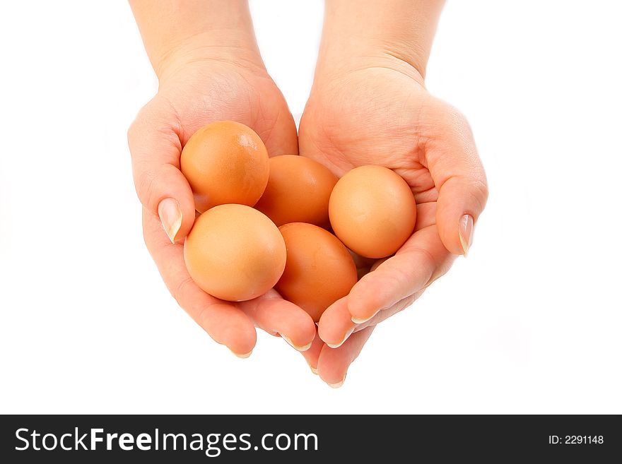 Group of eggs in female hands isolated on white background. Group of eggs in female hands isolated on white background