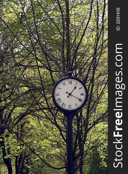 A clock in a park in the springtime