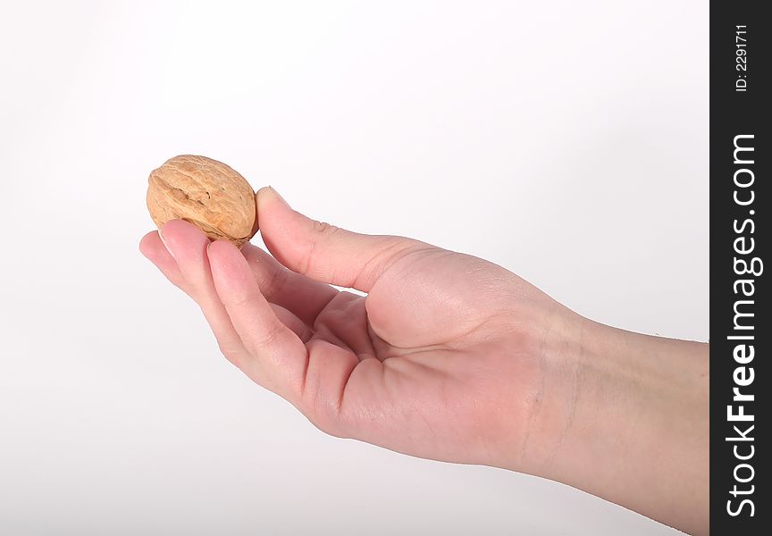 A hand holding a walnut against a white background. A hand holding a walnut against a white background.