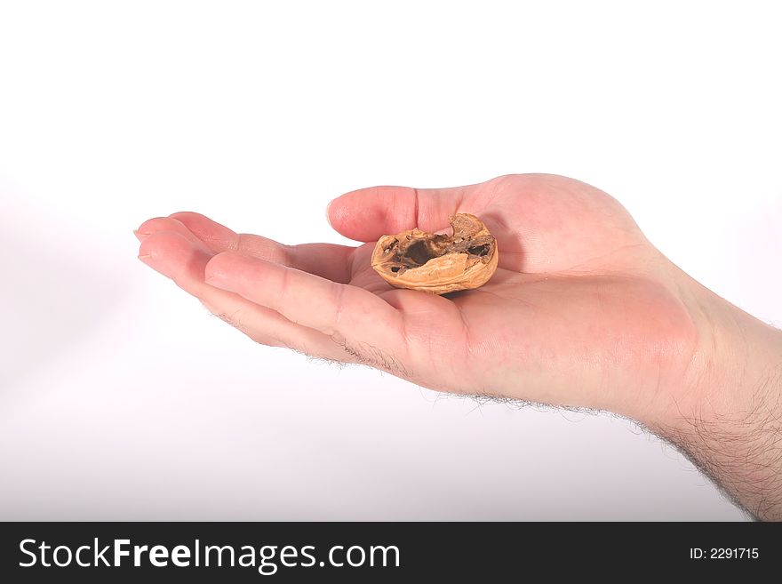 A hand holding the shell of a walnut. A hand holding the shell of a walnut.