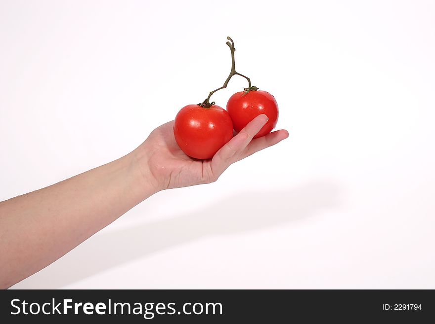 Hand Holding Tomatoes 2