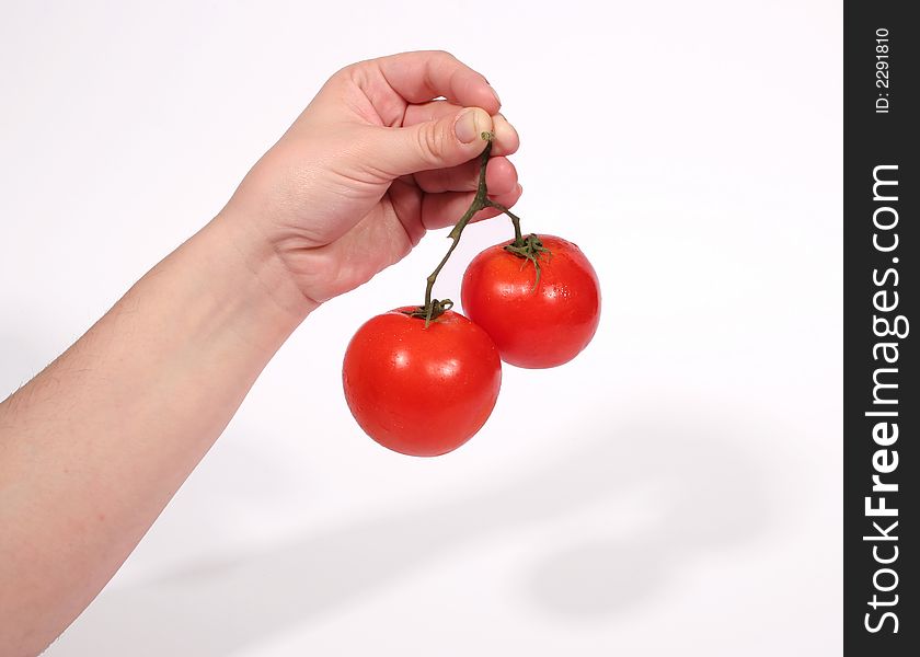 A hand holding two organic tomatoes by the stem. A hand holding two organic tomatoes by the stem