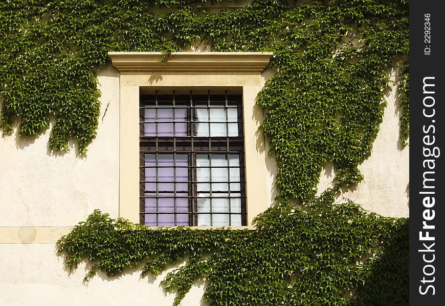 Old style windows on the central european building. Old style windows on the central european building