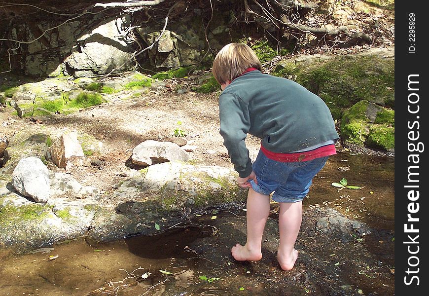 Young boy rolling up his jeans while playing in creek. Young boy rolling up his jeans while playing in creek.