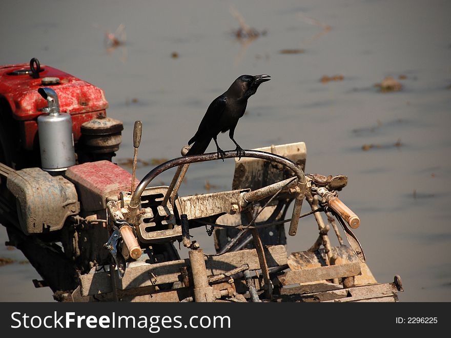 Crow and ploughing machine