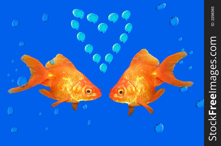 Love from to gold fishes. Love from to gold fishes