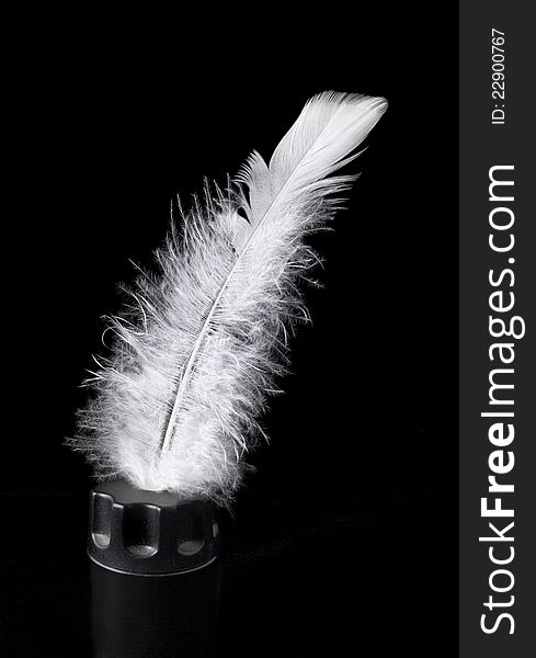 Feather of bird in an inkpot on a black background