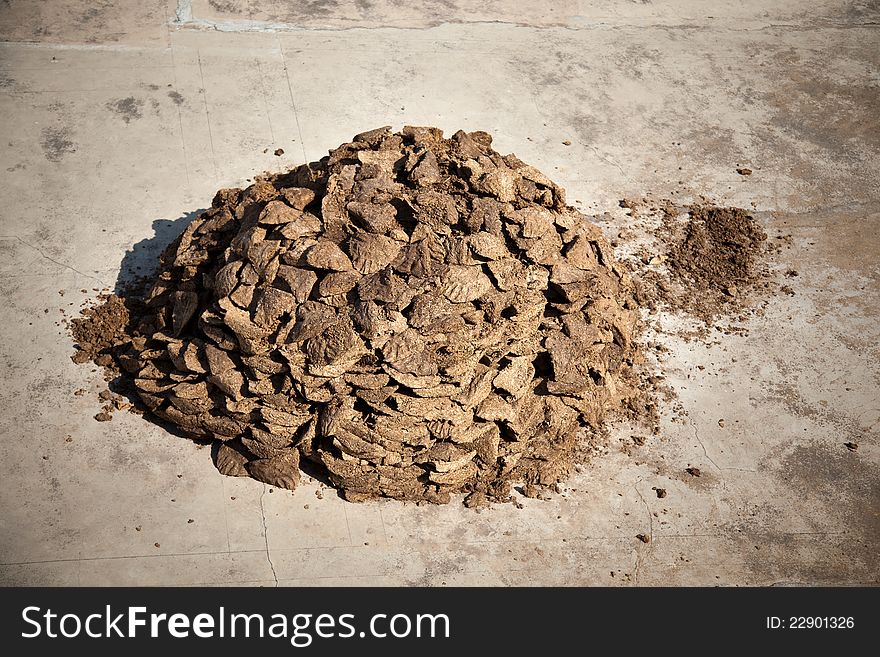 Cow And Buffalo  Dung Cake