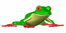 Green Frog Royalty Free Stock Photos