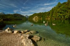 Landscape With Swans, Lake And Mountains Royalty Free Stock Images