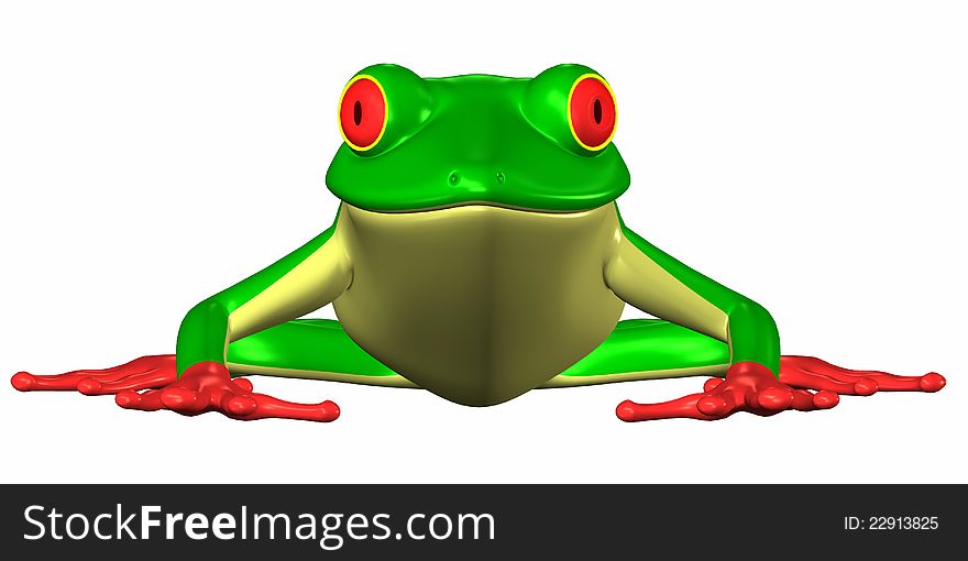 Green frog isolated on a white background