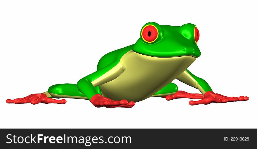 Green frog isolated on a white background