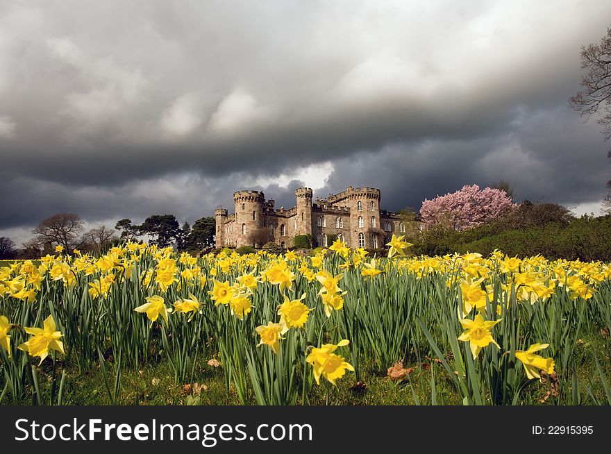 Daffodils castle and clouds