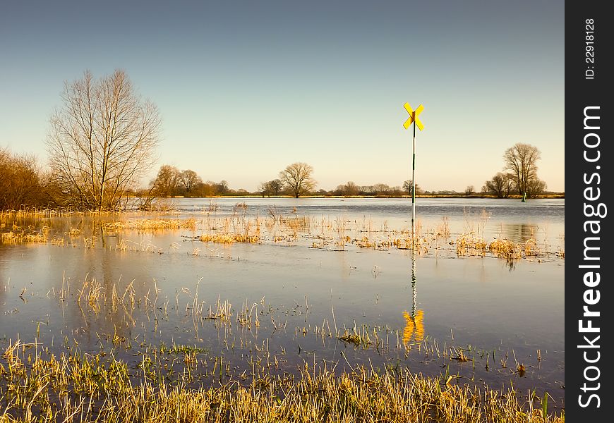 Wetlands with yellow signal in winter