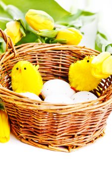 Chicks In Basket Royalty Free Stock Photo