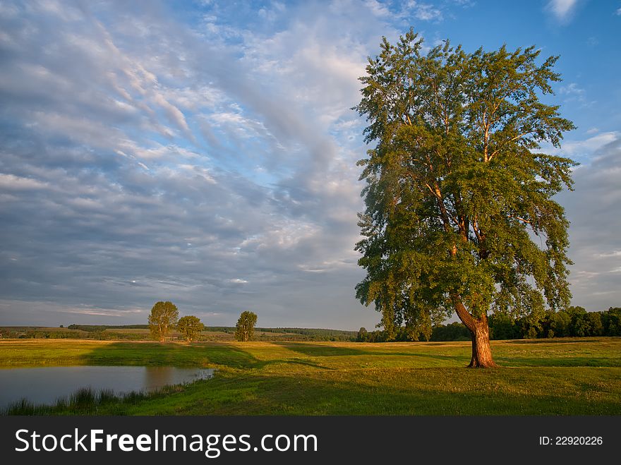 Beautiful meadow landscape with lonely tree and lake