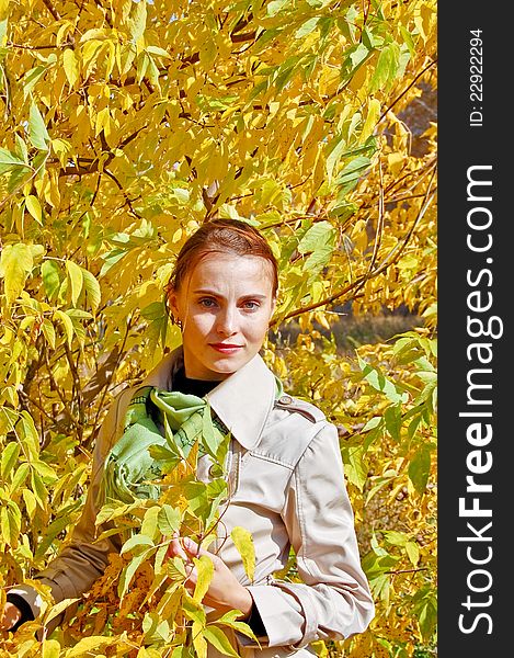 The girl on the background of tree branches. Autumn, yellow leaves. The girl on the background of tree branches. Autumn, yellow leaves.