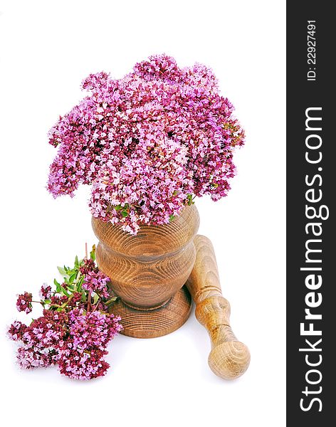 Oregano herb with flower and leaf sprigs in a mortar with pestle and scattered, over white background.