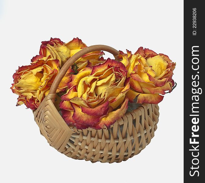 Still life of dried flowers in a basket on a white background