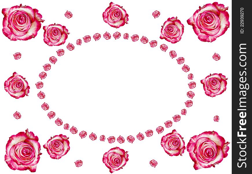 Creative frame made from roses. Abstract background. Creative frame made from roses. Abstract background