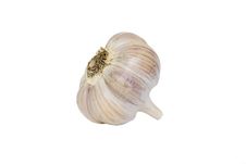 Head Of Garlic Royalty Free Stock Photography Head Of Garlic Royalty Free Stock Photography