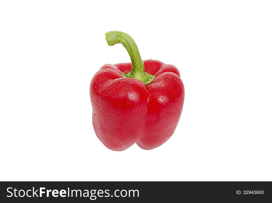 Bulgarian red pepper isolated on white background