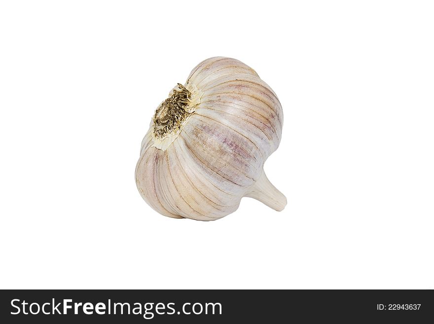 A whole head of garlic isolated on white background