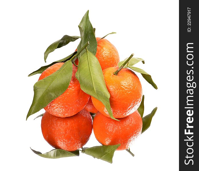 Three ripe tangerines with leaves. Isolated on white ,reflectionrn