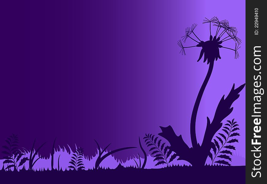 Silhouette of meadow with dandelion against the night sky. Silhouette of meadow with dandelion against the night sky