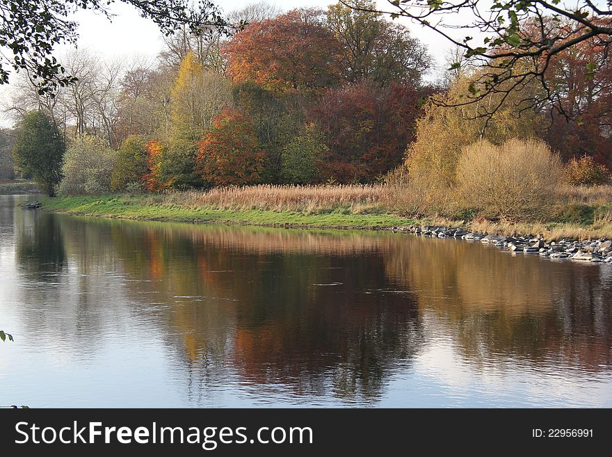 Taken on the river  tweed in October during a rare fine day. Taken on the river  tweed in October during a rare fine day